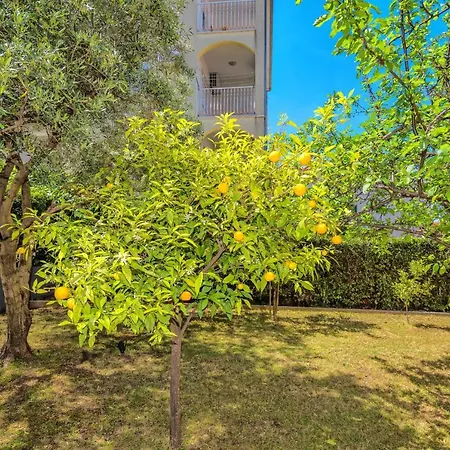 Mihaela Apartamento Trogir