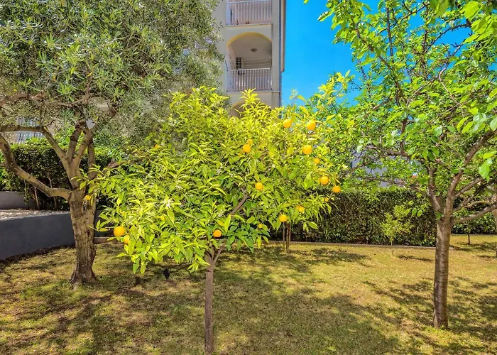 Mihaela Apartman Trogir